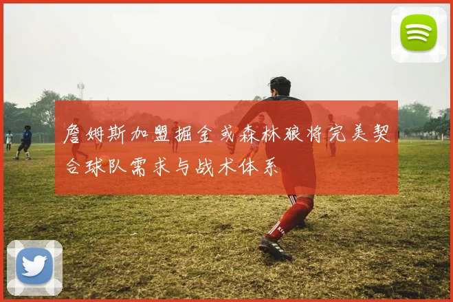 詹姆斯加盟掘金或森林狼将完美契合球队需求与战术体系